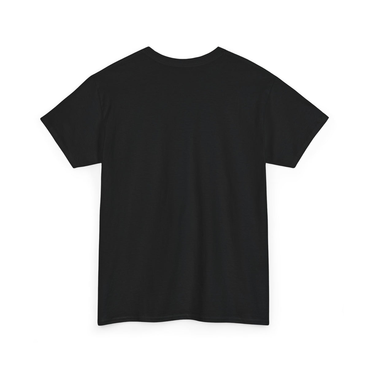 The Most Boring T-Shirt Ever Made — Minimalist Black Graphic T‑Shirt with 'boring.' Text